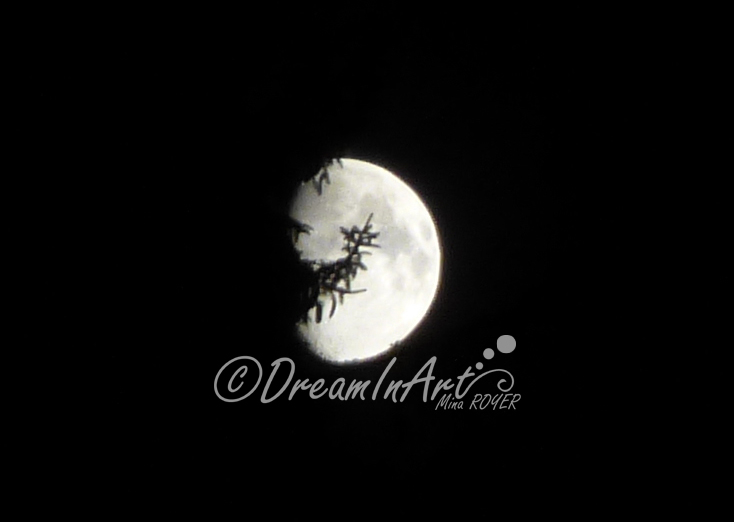 lune-dreaminart-001
