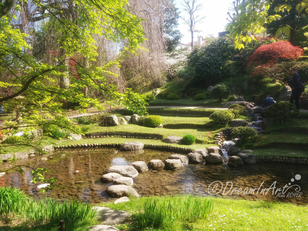 jardin-japonais-dreaminart-001